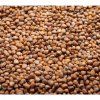 Ředkev China Rose na microgreens, 1 kg