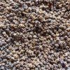 Červená repa na microgreens, 50 g