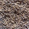 Ružová repa na microgreens, 50 g