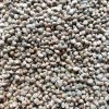 Špenát setý na microgreens, 50 g