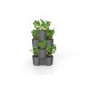 Not only Potato pot anthracite 02