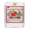 Advanced Nutrients Overdrive (Objem 4l)