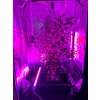 43190 1 sunpro intercanopy led bar 25w 3 3 umol j
